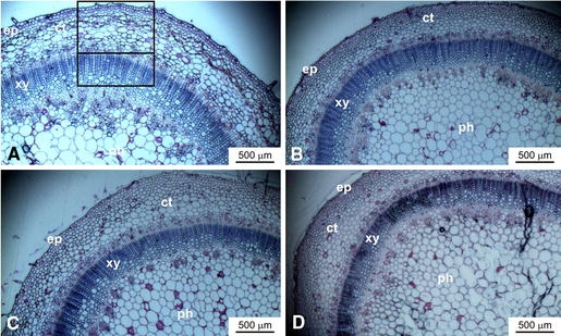 Fig. 4