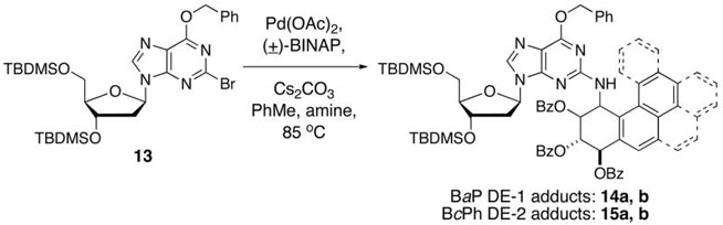 graphic file with name nihms62471f10.jpg