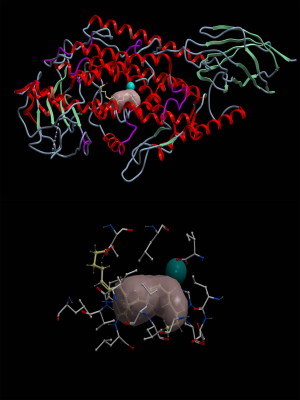 Figure 3 