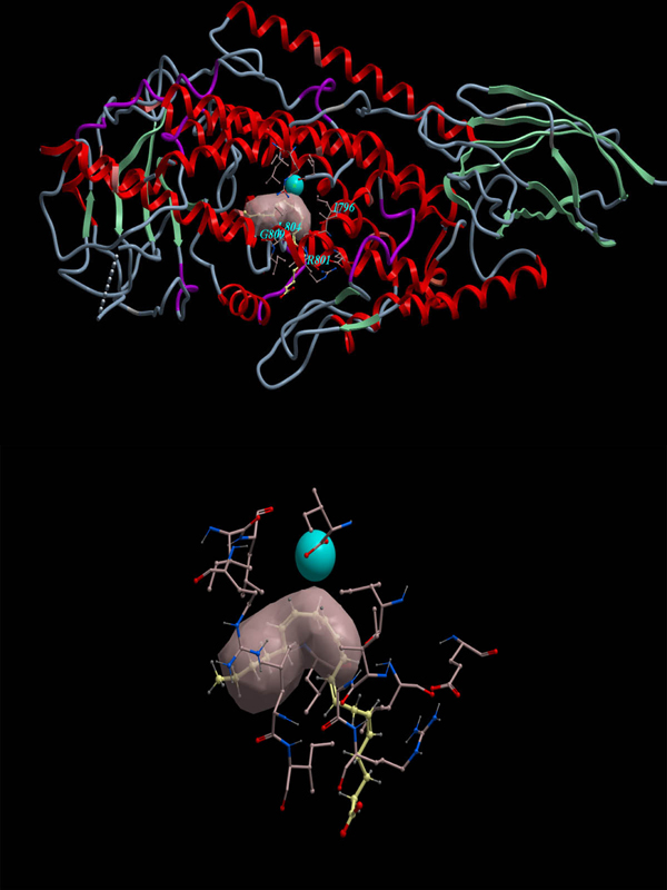 Figure 4 