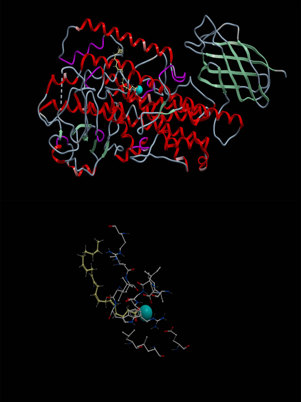 Figure 6 