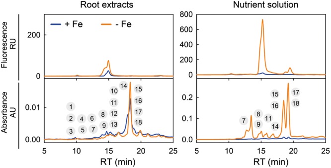 FIGURE 3