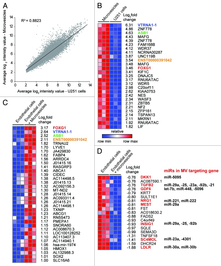 graphic file with name rna-10-1333-g6.jpg