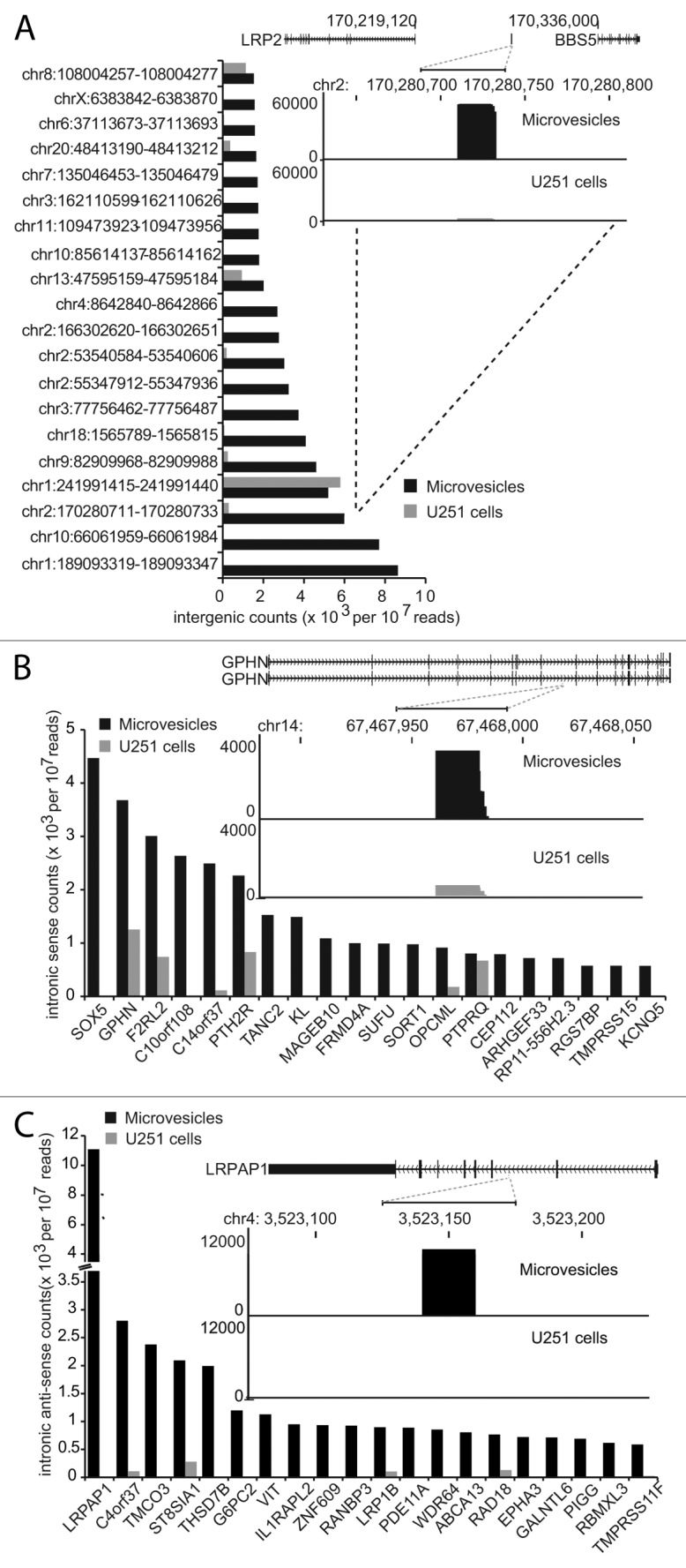 graphic file with name rna-10-1333-g4.jpg