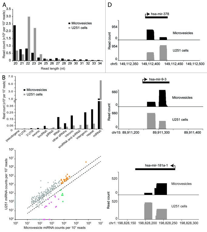 graphic file with name rna-10-1333-g2.jpg