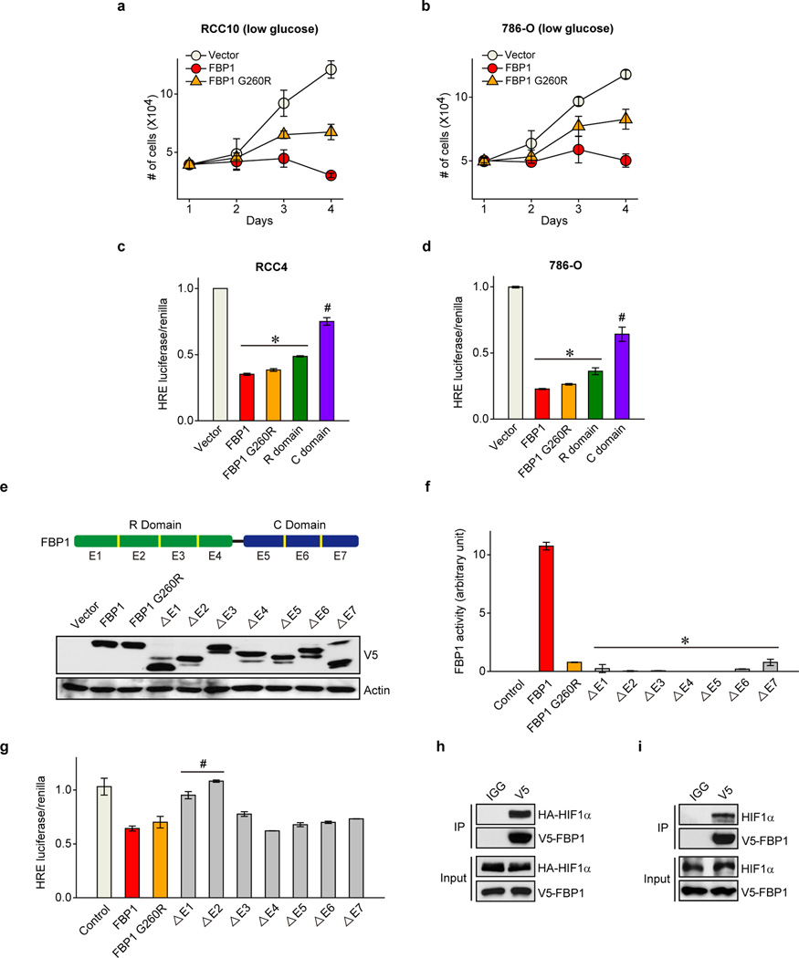 Fructose-1, 6-bisphosphatase opposes renal carcinoma progression - PMC