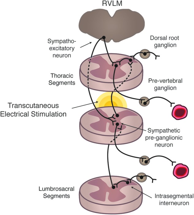 FIG. 3.