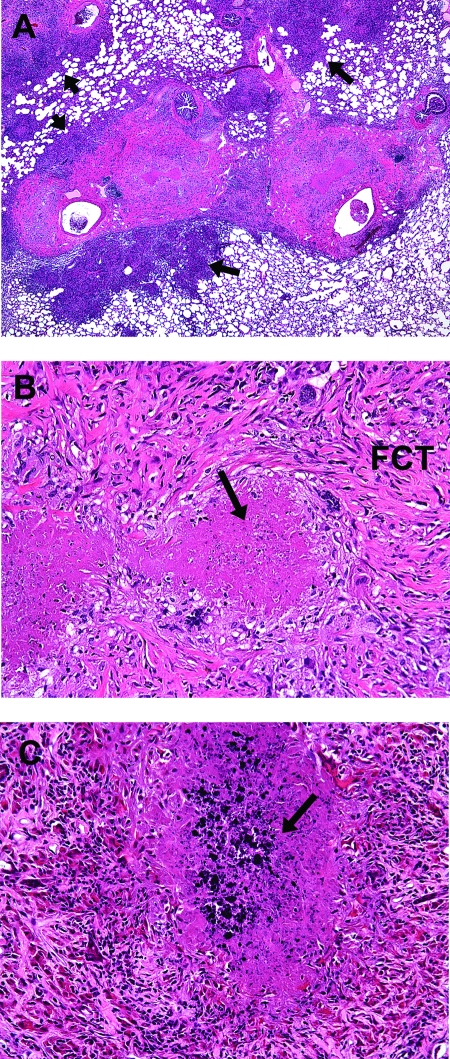 FIG. 5.