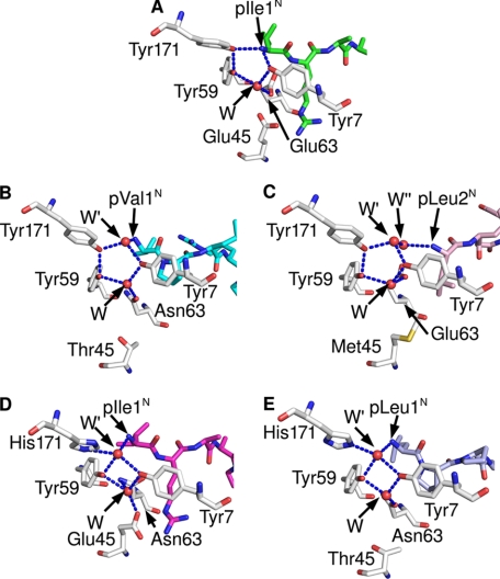 FIGURE 4.