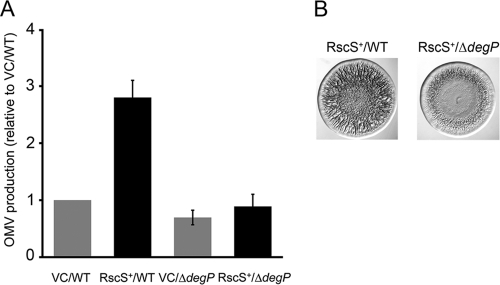 Fig 6