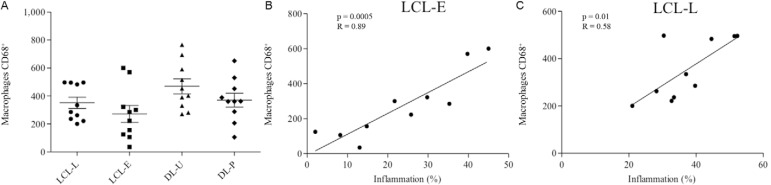 Fig. 3A