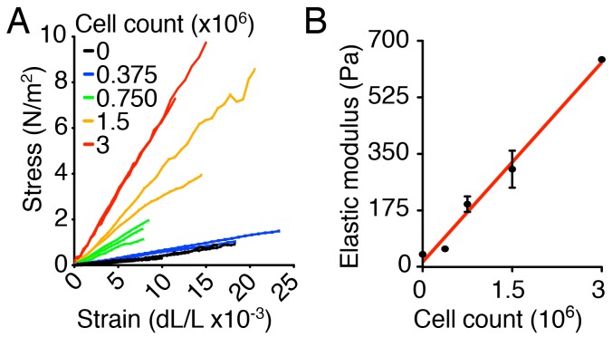 Figure 2—figure supplement 1.