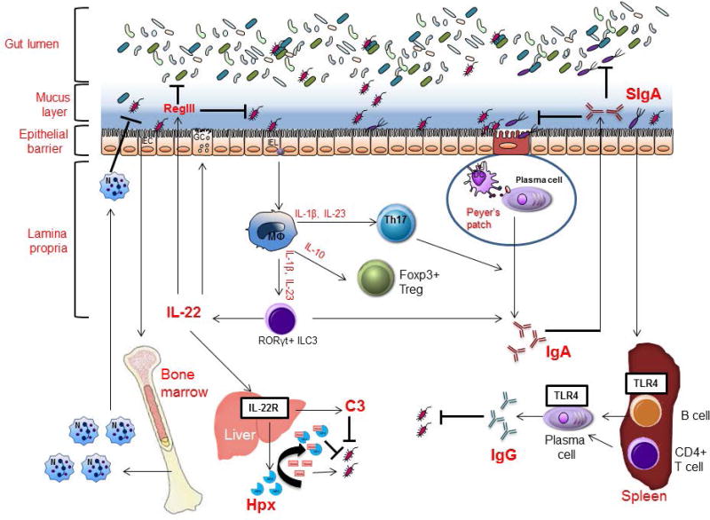 FIGURE 2