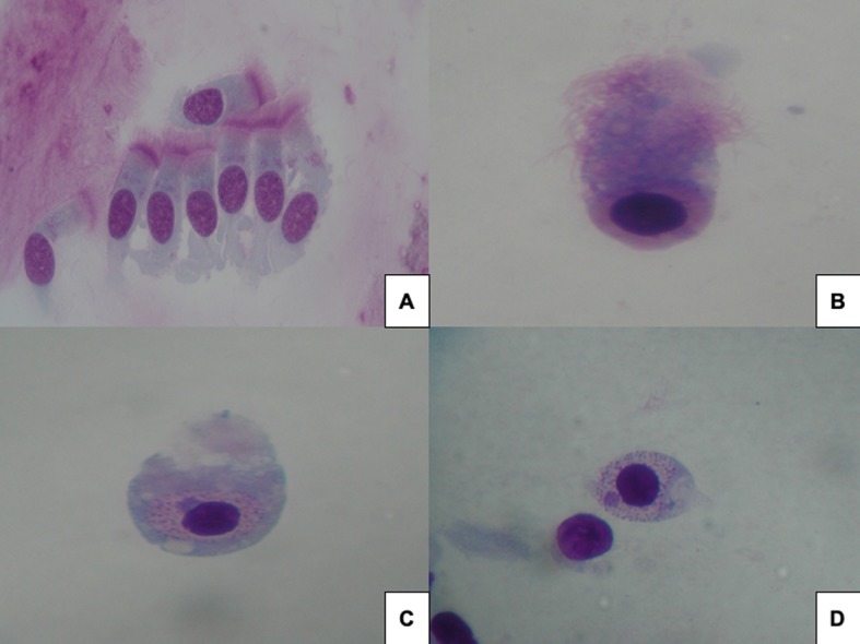 Figure 1.