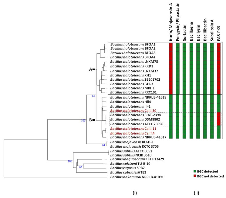 Figure 6