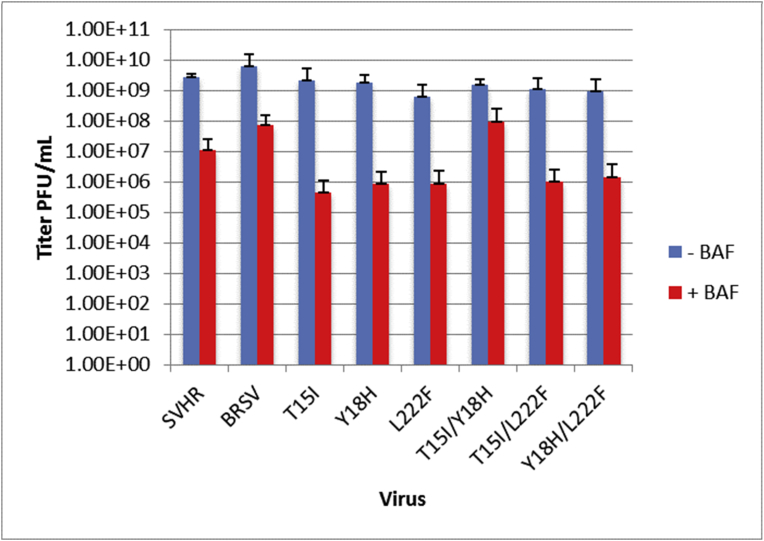 Fig. 7