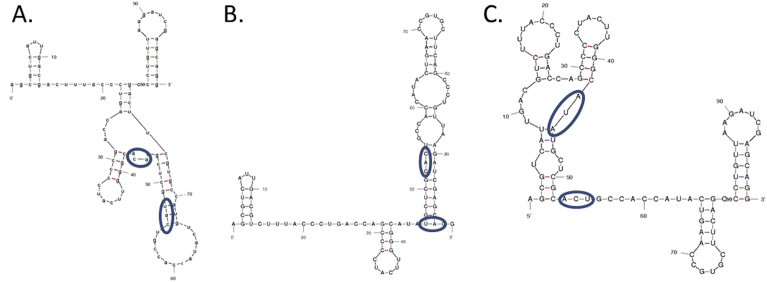 Fig. 10