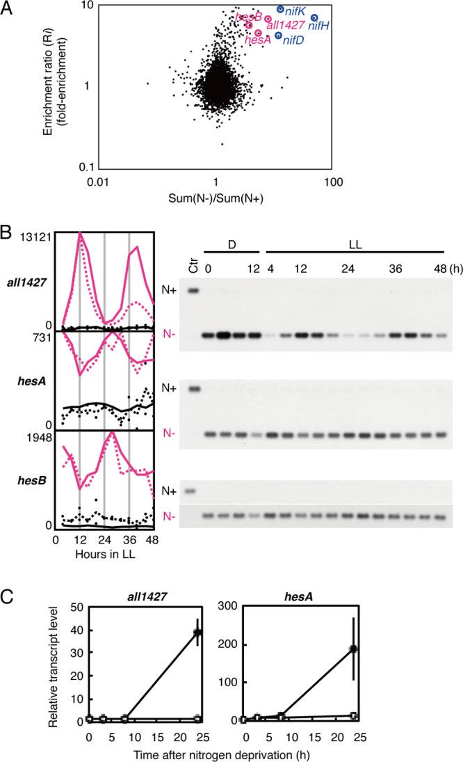 Fig 6