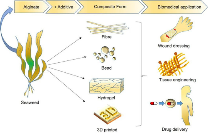 Image, graphical abstract