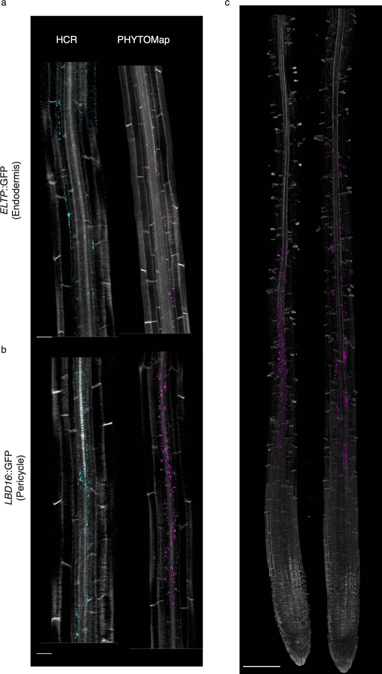 Extended Data Fig. 3