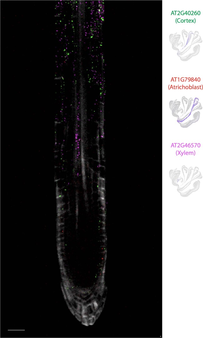 Extended Data Fig. 8