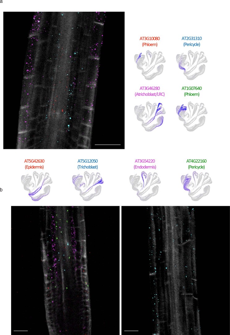 Extended Data Fig. 7