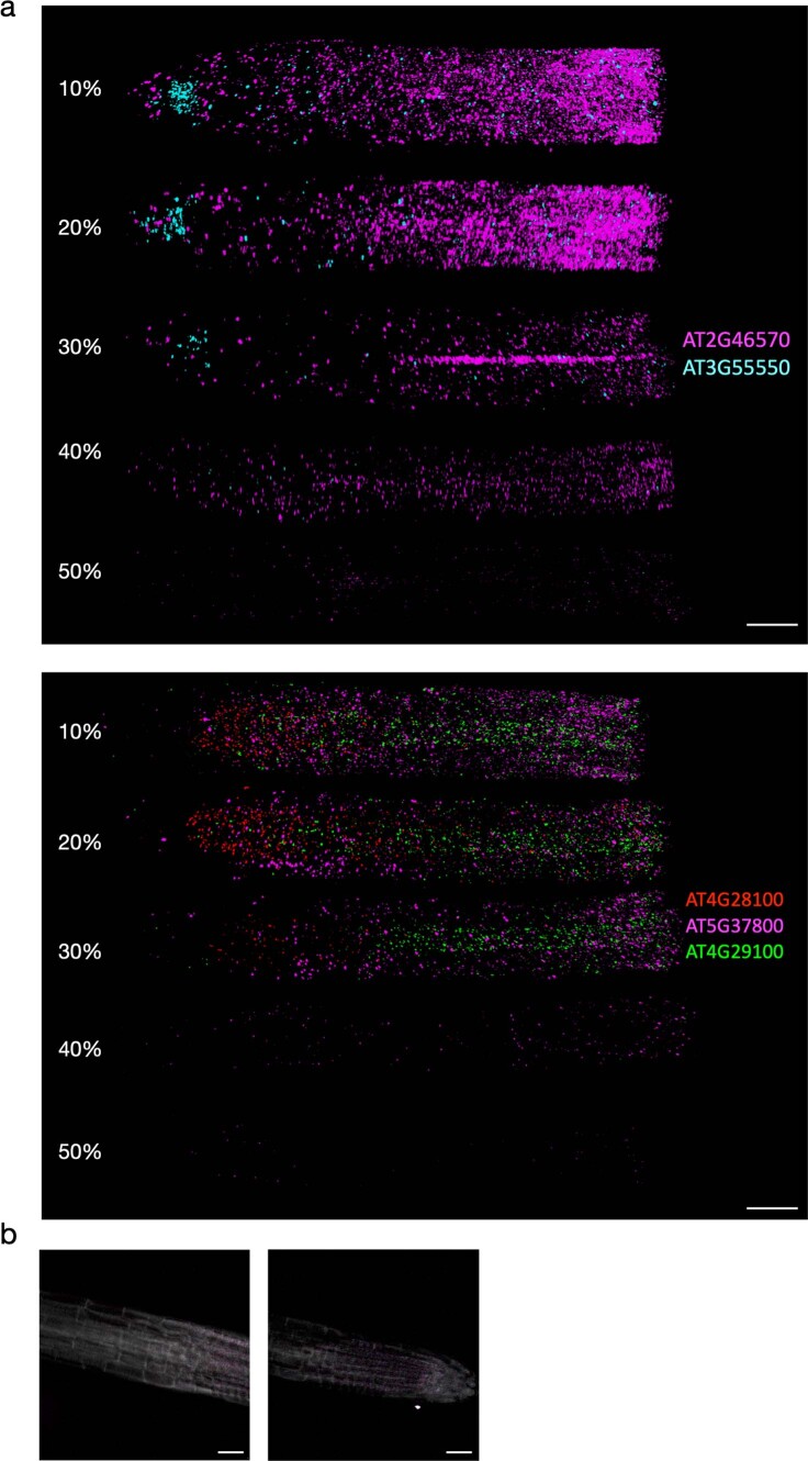 Extended Data Fig. 2