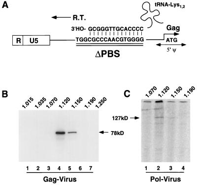 FIG. 5