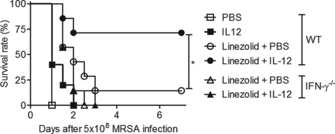 FIG 6