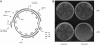 Fig. 1.
