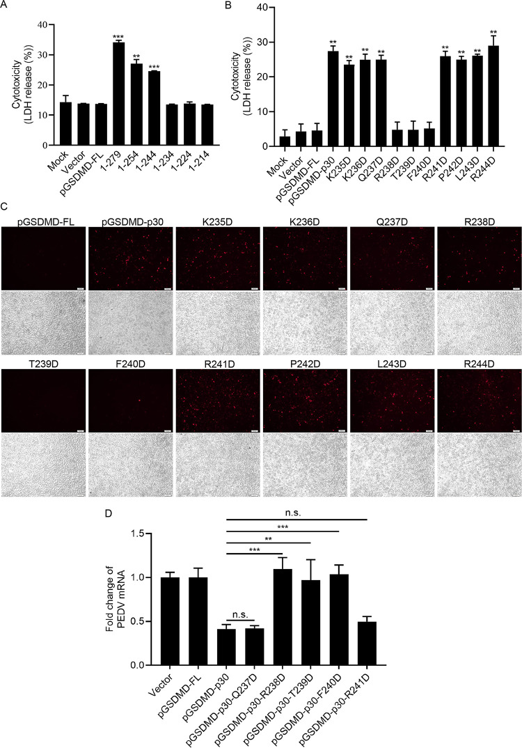 FIG 6