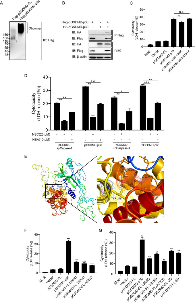 FIG 3