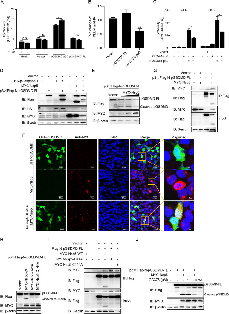 FIG 4