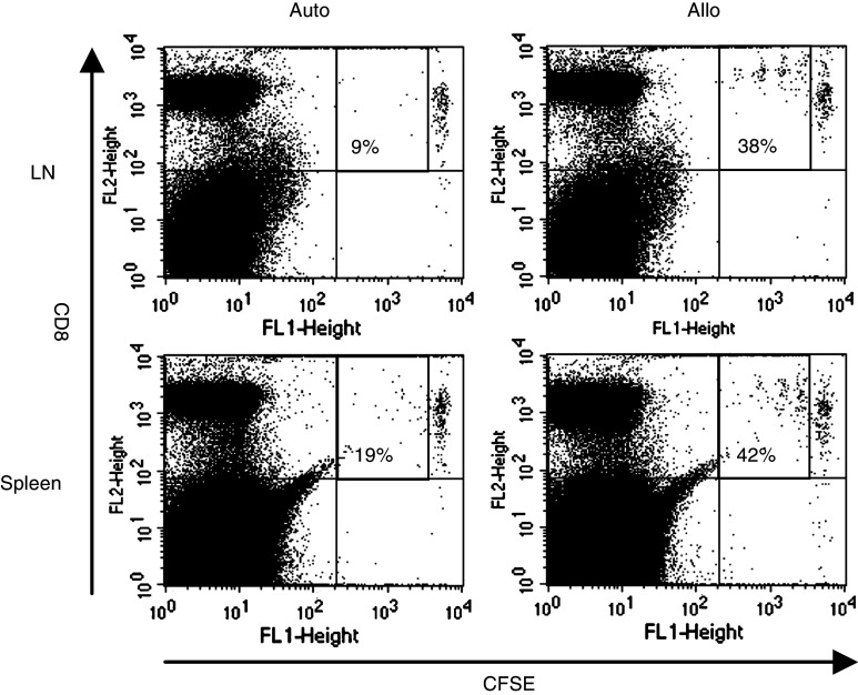 Fig. 5