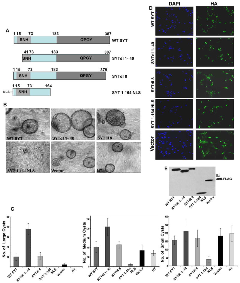 Fig.1