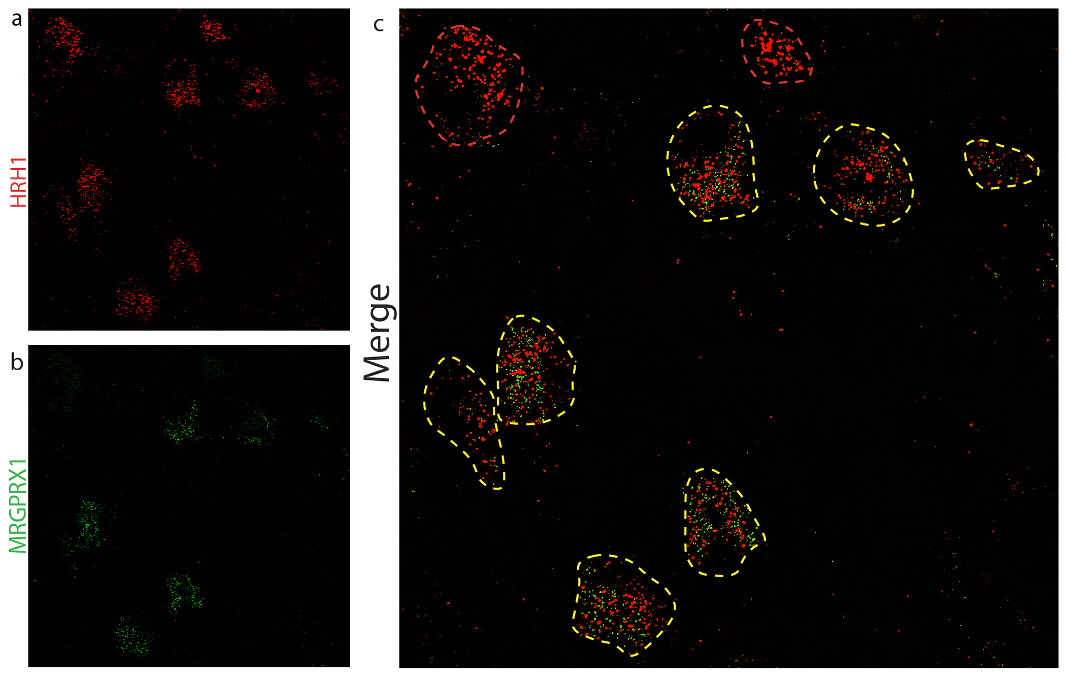 Figure 5: