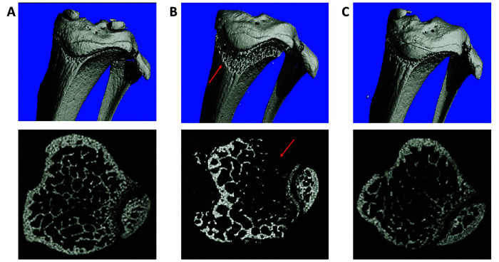 
Figure 9.
