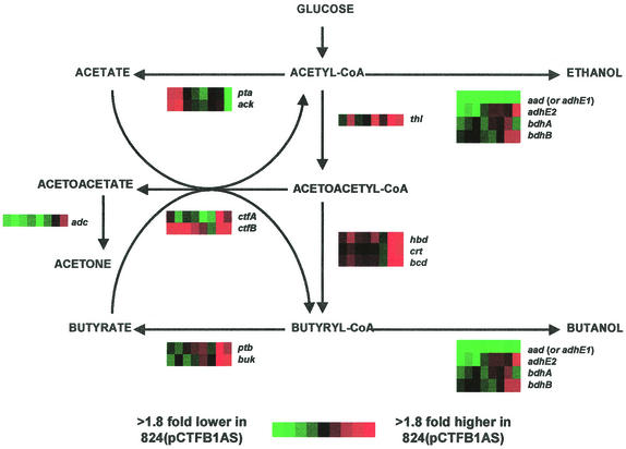 FIG. 6.