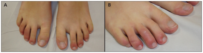 Figure 1: