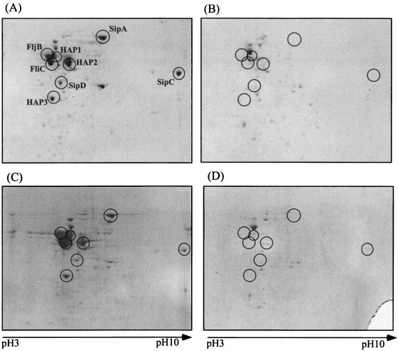 FIG. 6.