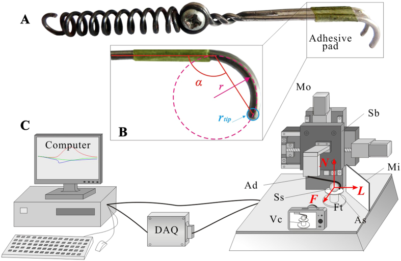 Figure 7