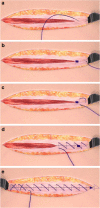 Fig. 2