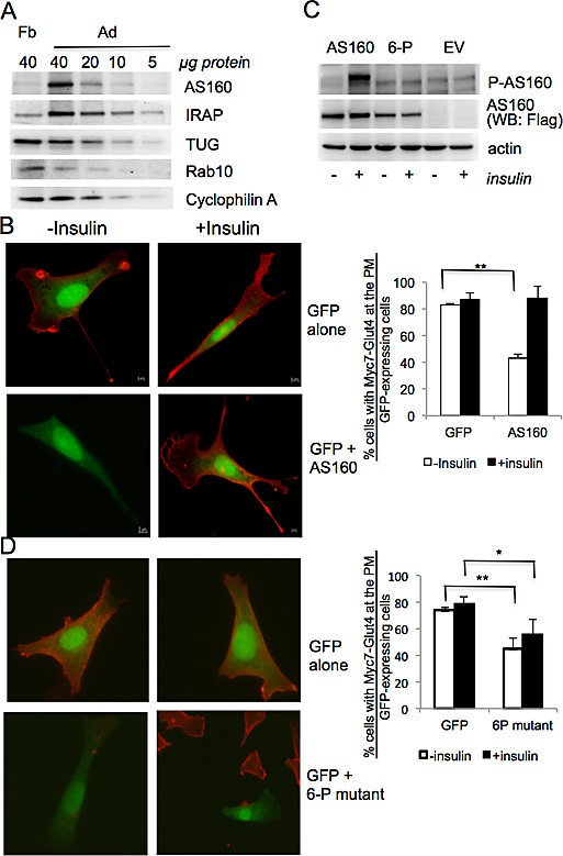 FIGURE 5: