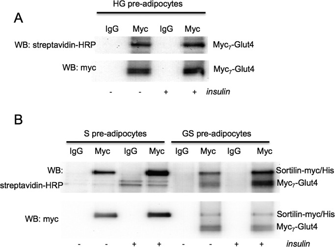 FIGURE 4: