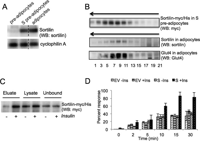 FIGURE 1: