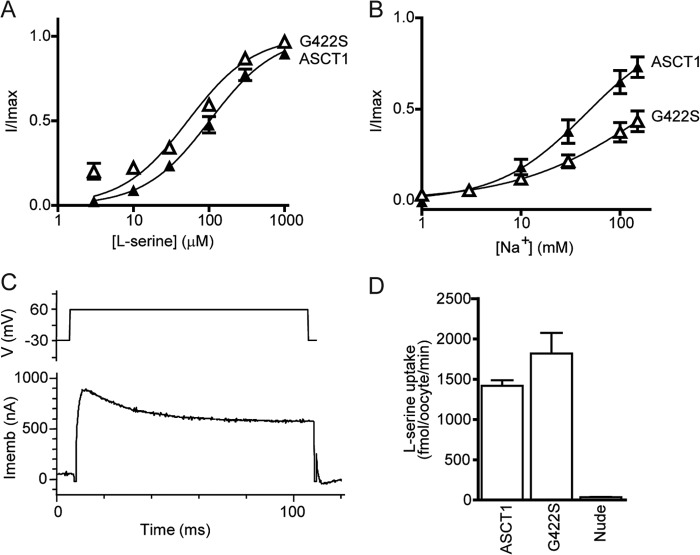 FIGURE 3.