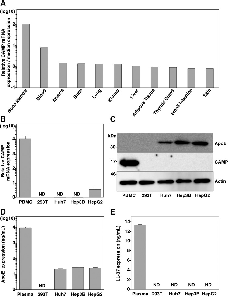 FIG 2