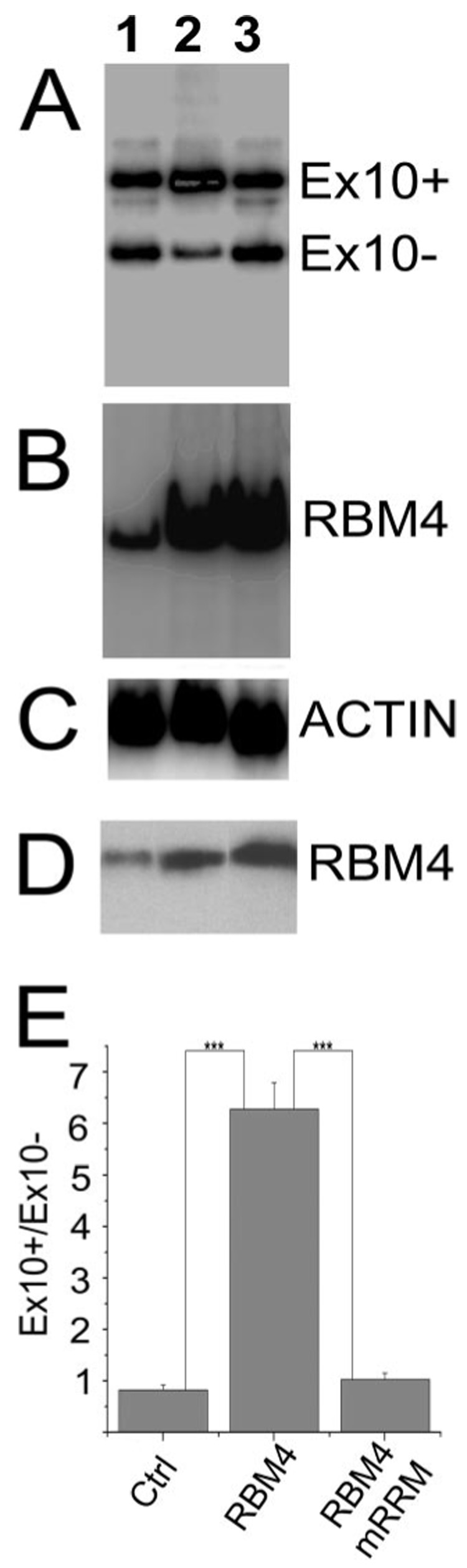 FIGURE 4