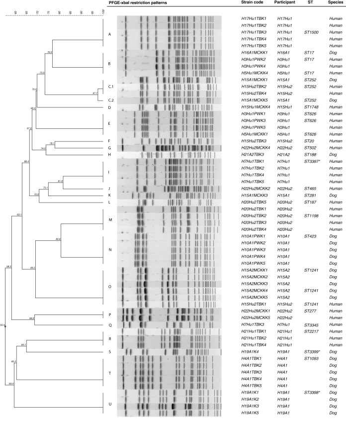 FIG 2