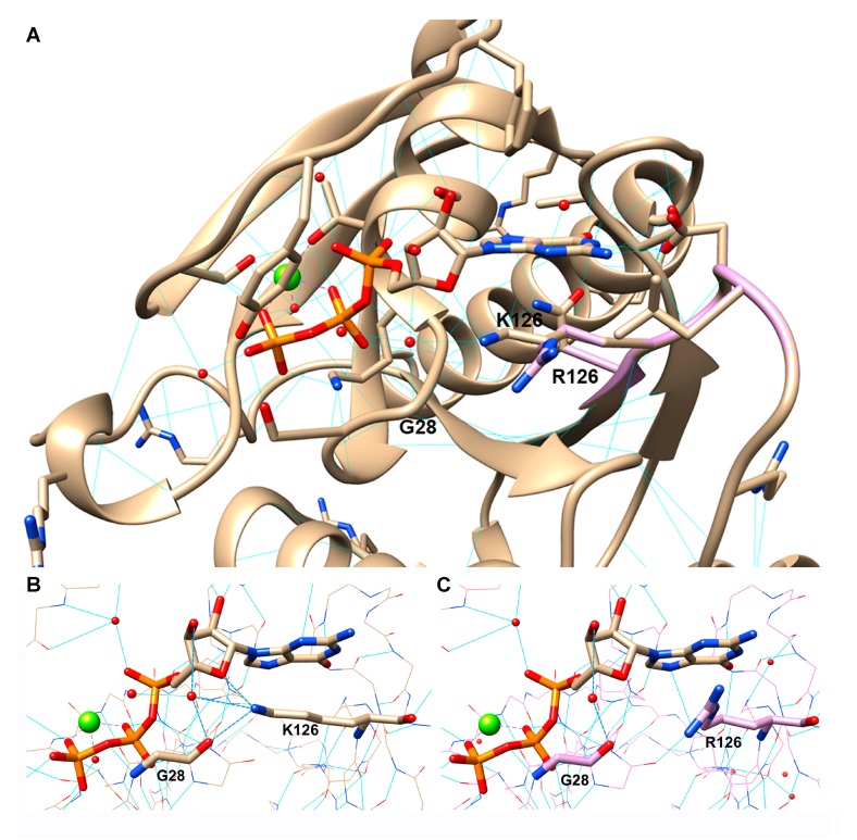 Figure 6